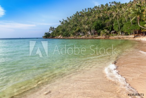 Picture of Beautiful tropical landscape blue water green palms Thailand